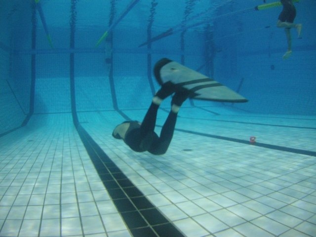  Entrenamiento en alberca 